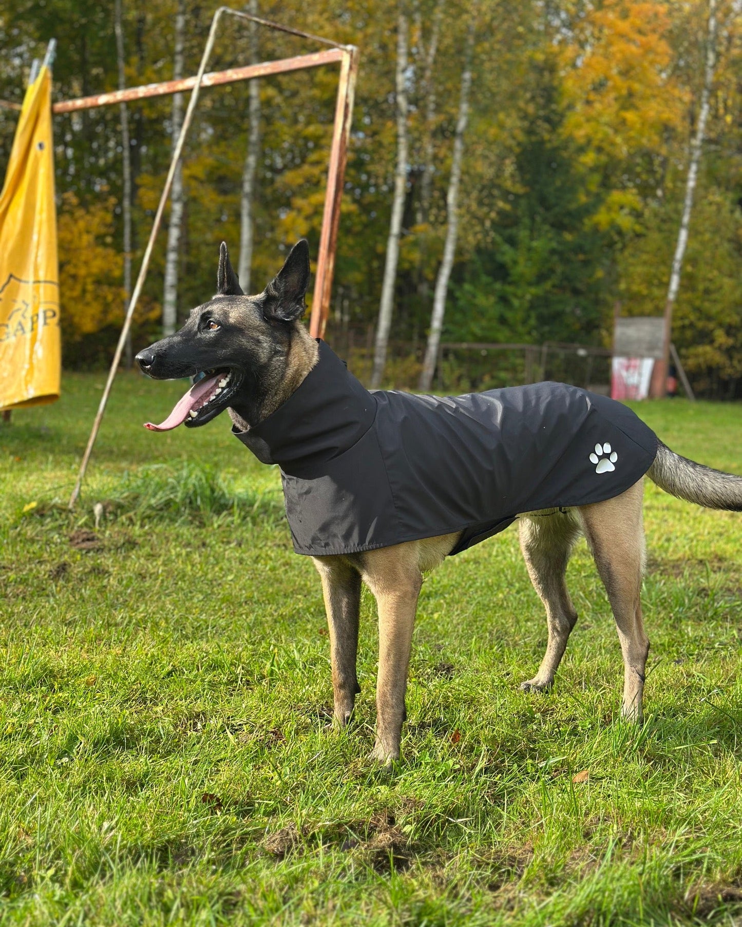 KENZOO black raincoat for dog