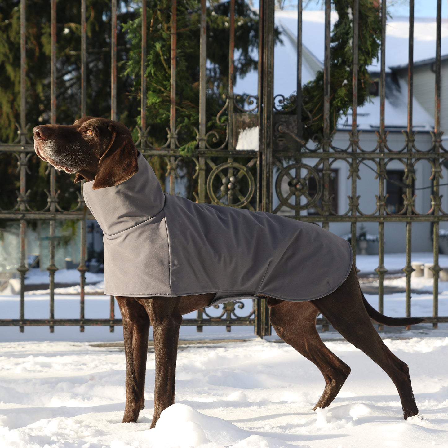 KENZOO grey waterproof jacket for dog