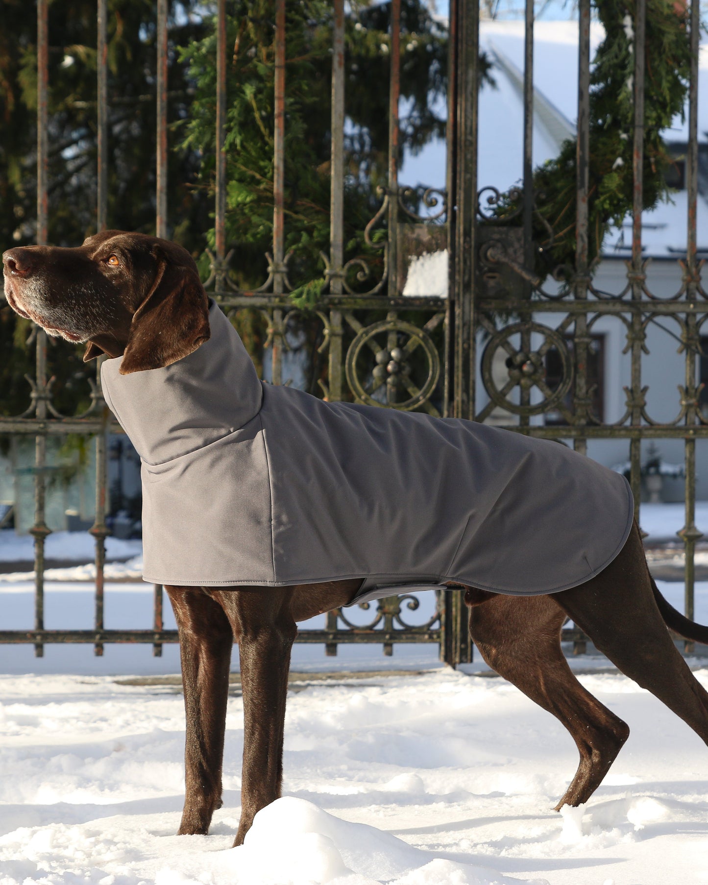 KENZOO grey waterproof jacket for dog