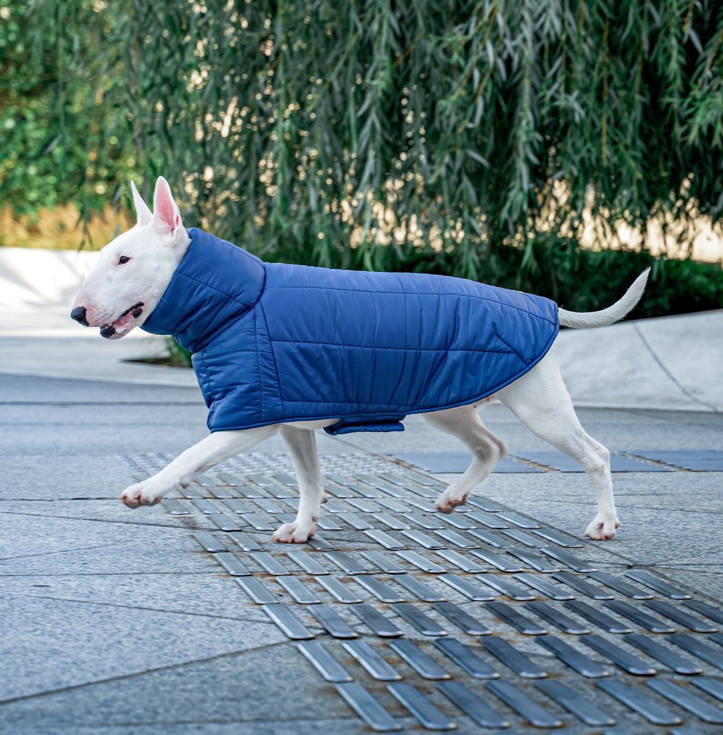 KENZOO dark blue jacket for "bull" type dogs