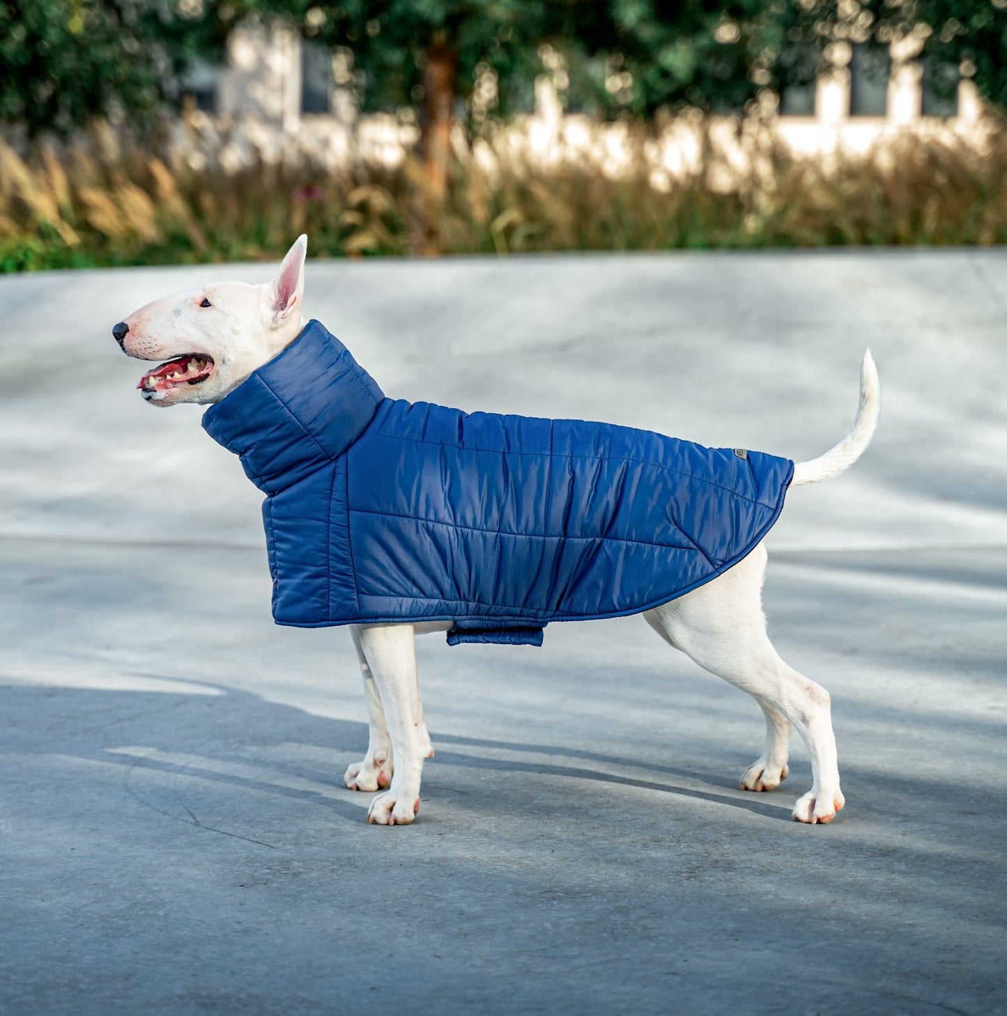 KENZOO dark blue jacket for "bull" type dogs