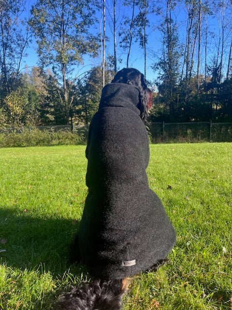 Luxurious KENZOO wool coat for a dog
