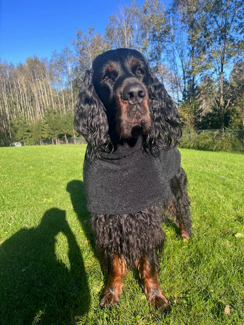 Luxurious KENZOO wool coat for a dog