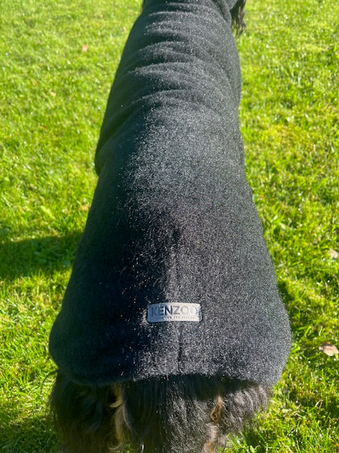 Luxurious KENZOO wool coat for a dog