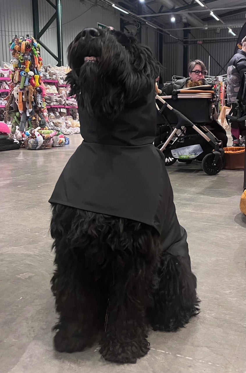 KENZOO black raincoat for dog