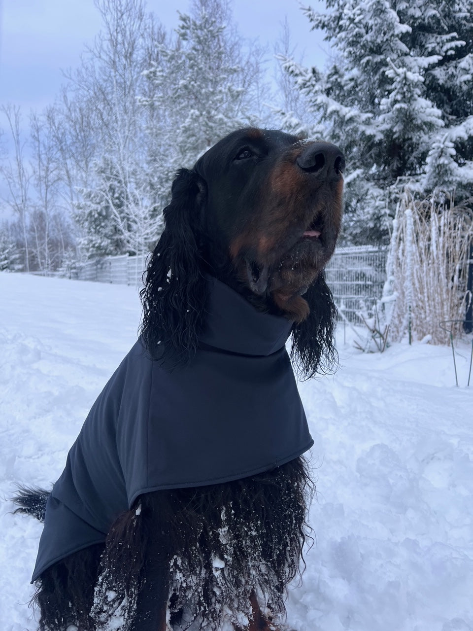 KENZOO musta vedenpitävä koiran takki