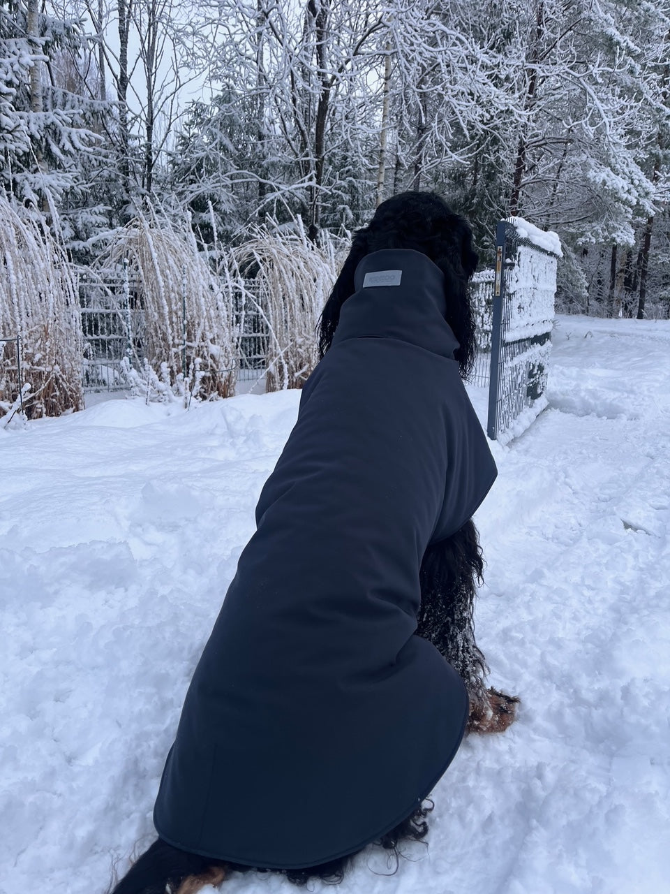 KENZOO musta vedenpitävä koiran takki