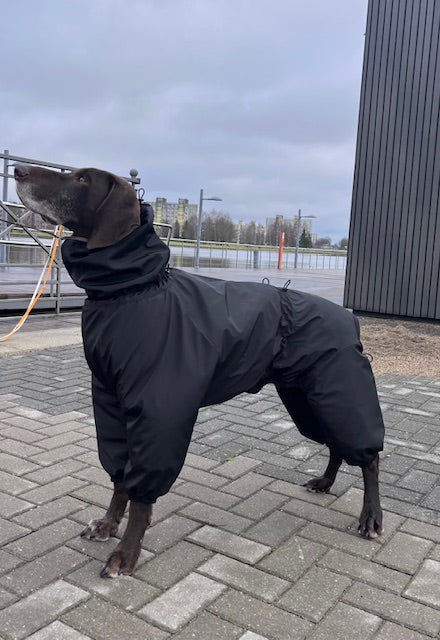 KENZOO waterproof, extra warm dog jumpsuit