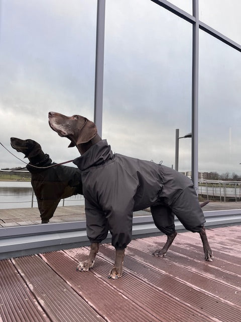 KENZOO waterproof, extra warm dog jumpsuit