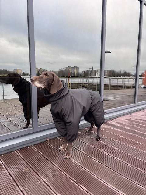KENZOO waterproof, extra warm dog jumpsuit