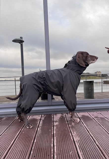 KENZOO waterproof, extra warm dog jumpsuit