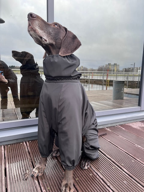 KENZOO waterproof fleece warm dog overalls