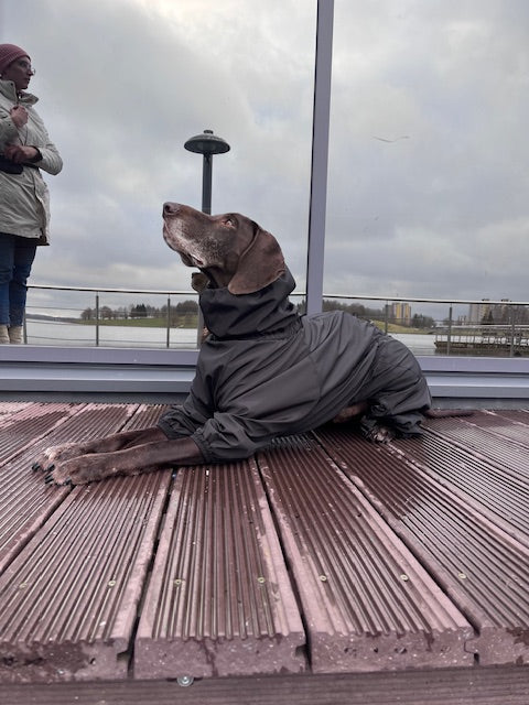 KENZOO waterproof fleece warm dog overalls