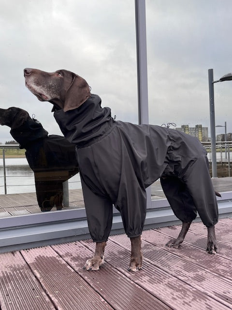KENZOO waterproof fleece warm dog overalls