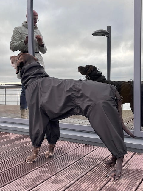 KENZOO waterproof fleece warm dog overalls