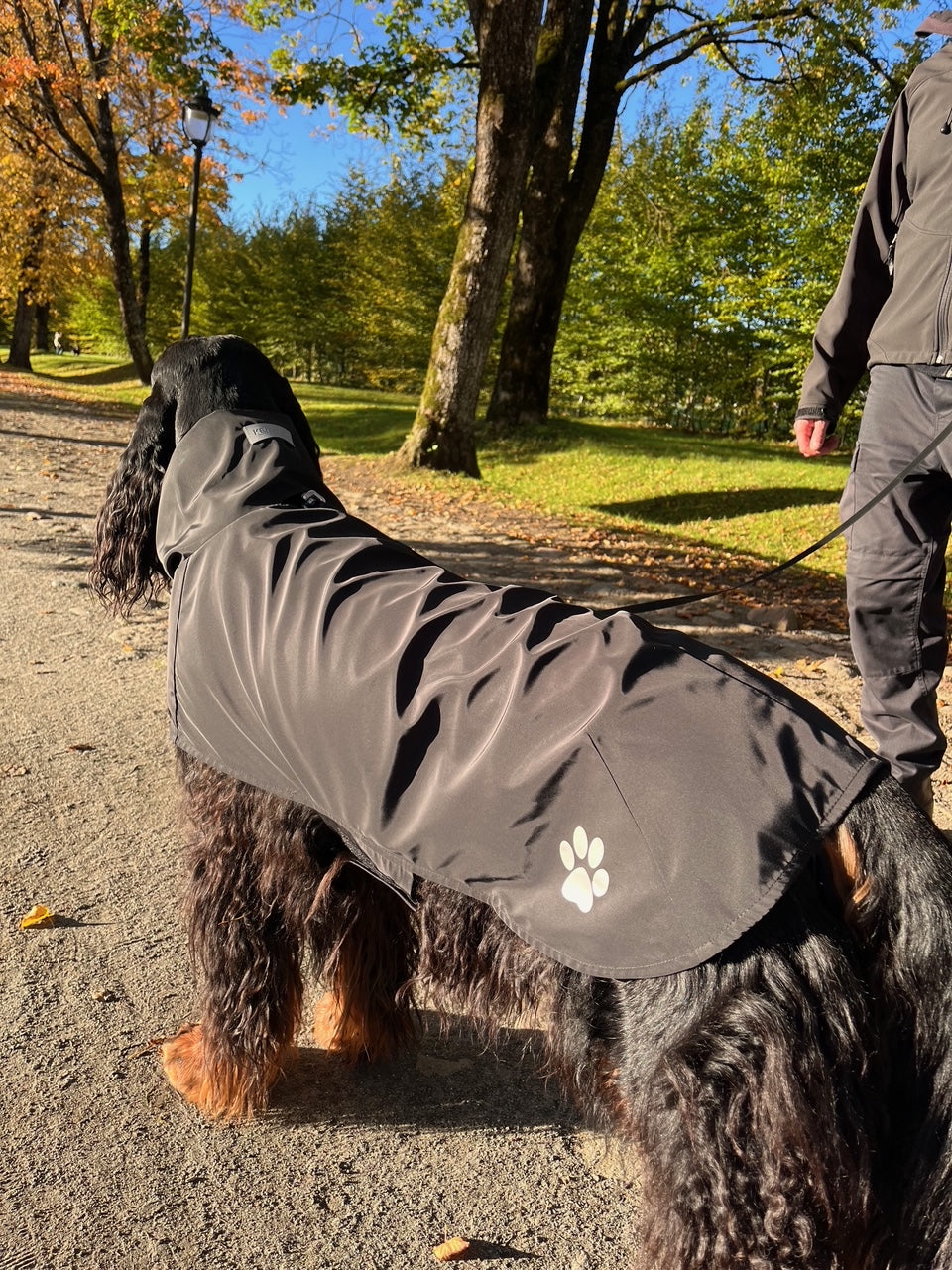 KENZOO black raincoat for dog