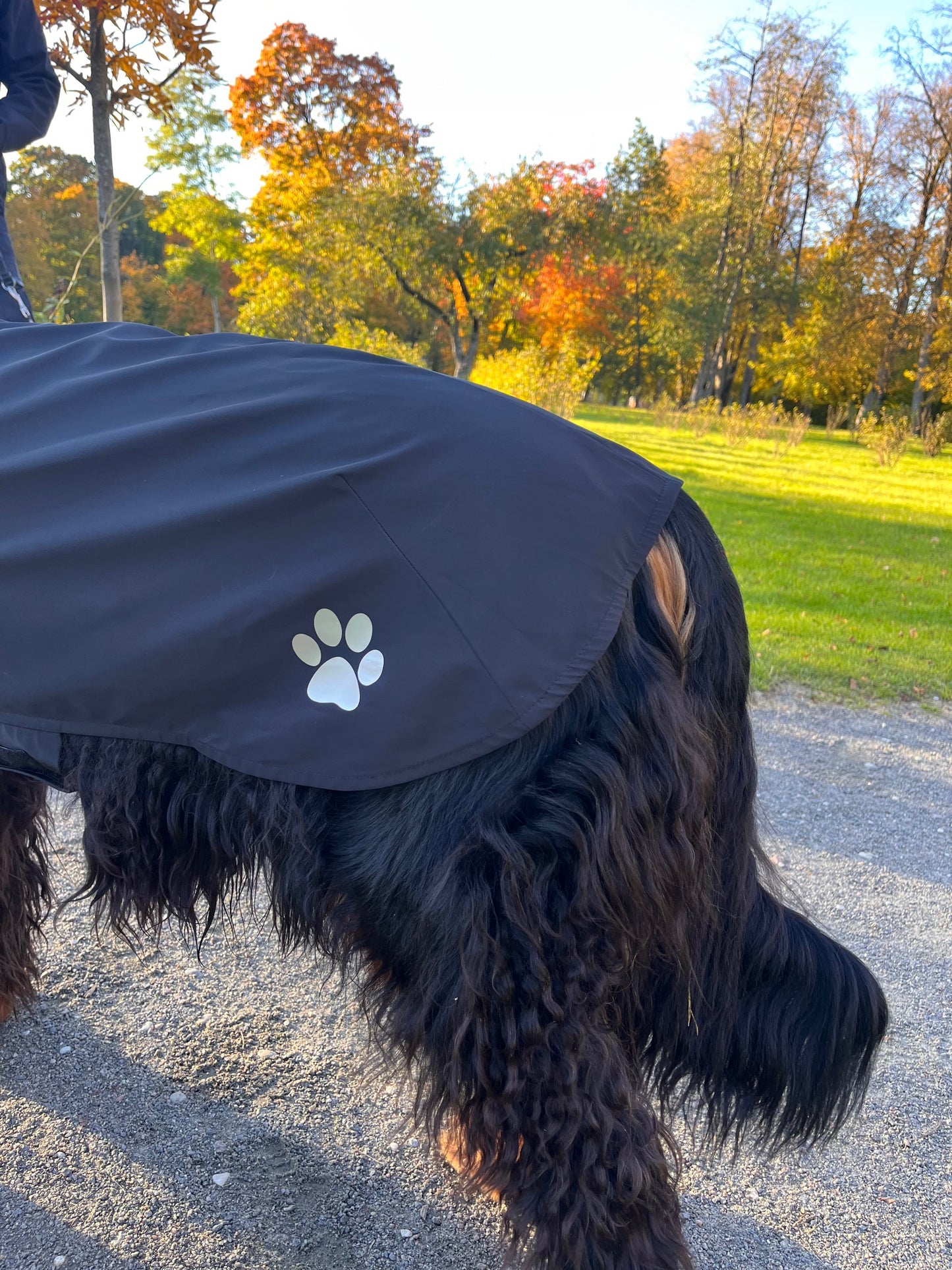 KENZOO black raincoat for dog