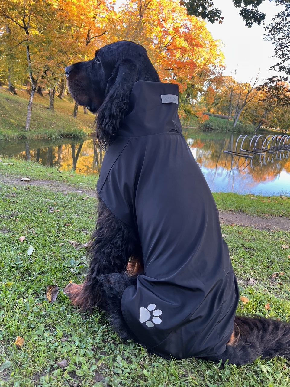 KENZOO black raincoat for dog