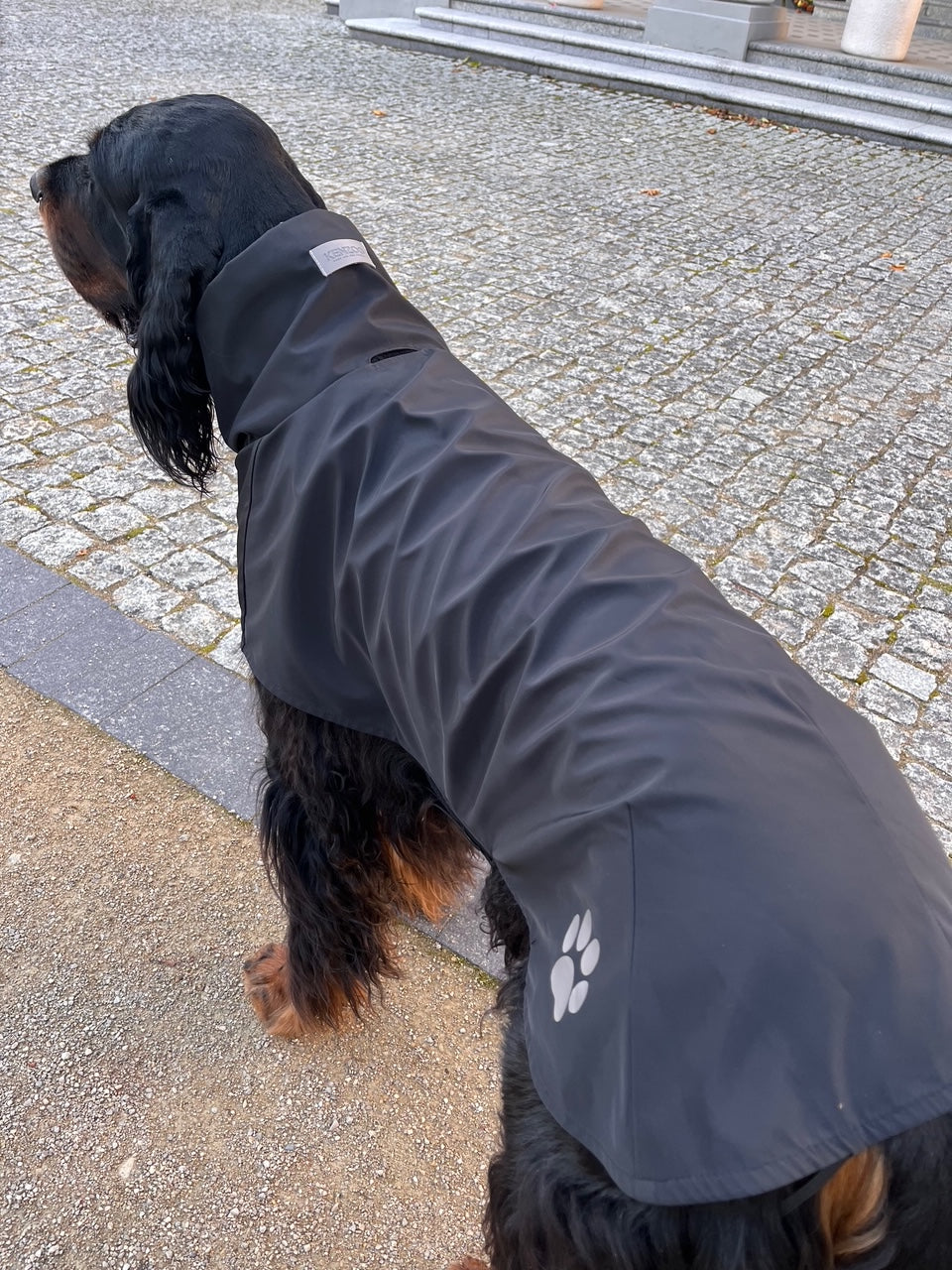 KENZOO black raincoat for dog