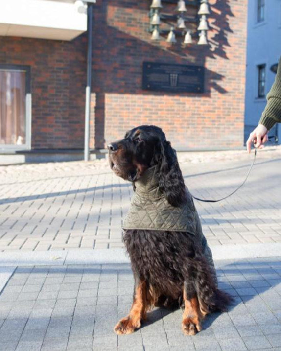KENZOO chaki spalvos plona striukė šuniui