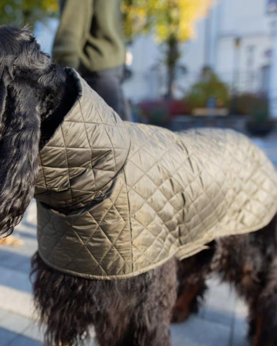 KENZOO chaki spalvos plona striukė šuniui