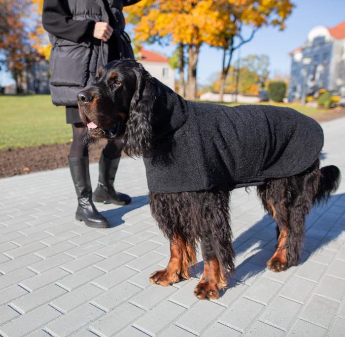 Luxurious KENZOO wool coat for a dog