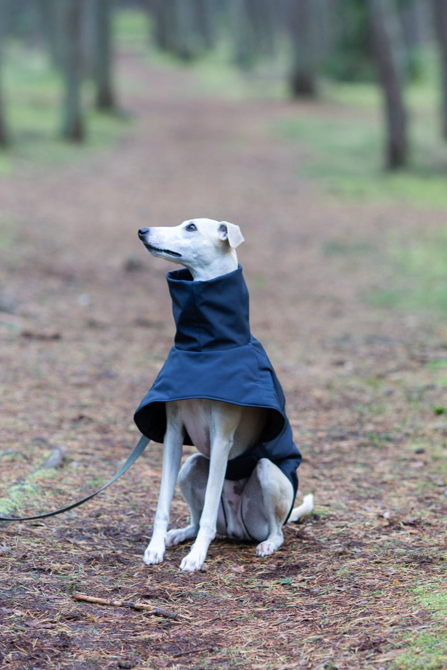 KENZOO black waterproof jacket for dog