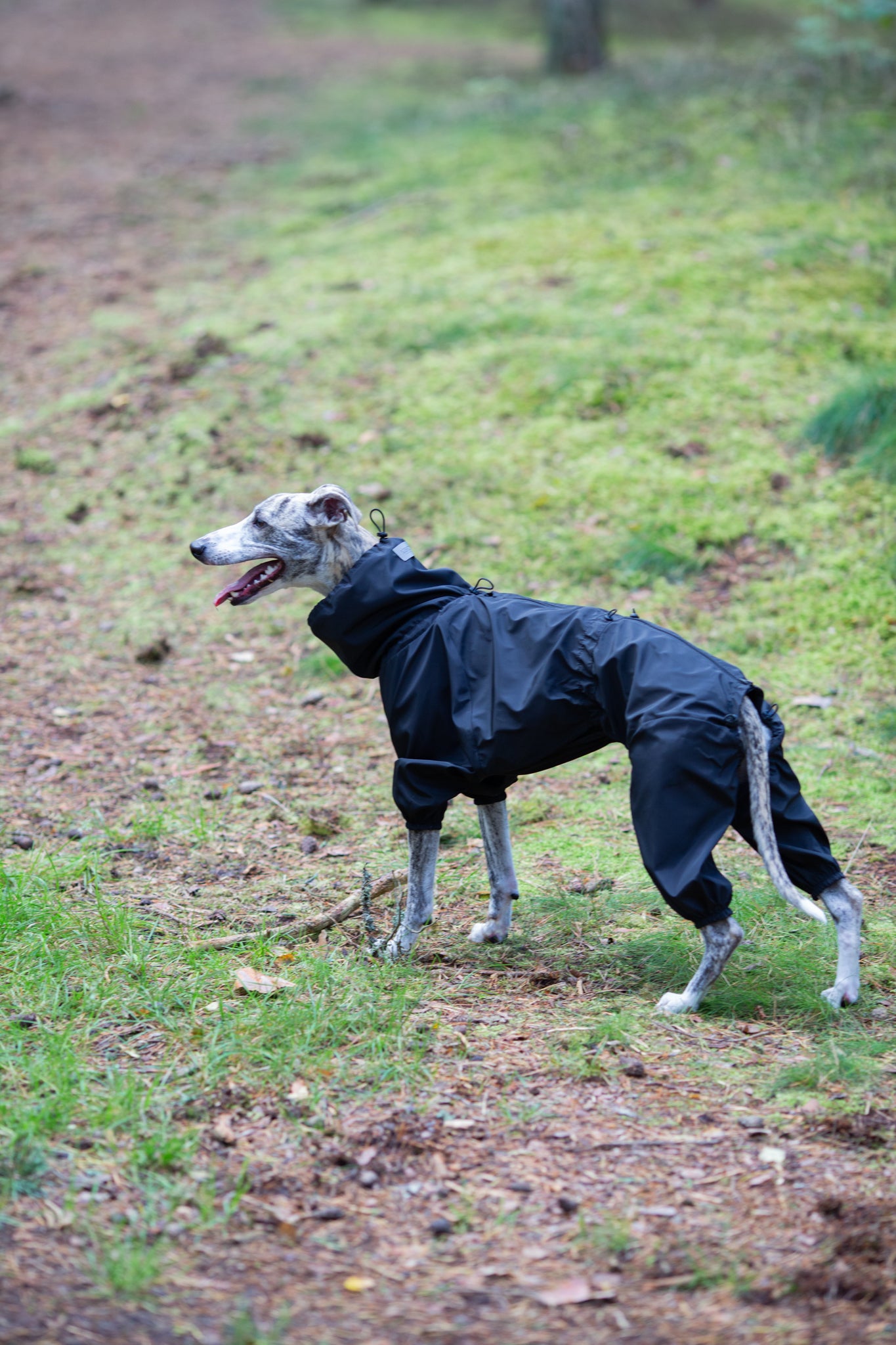 KENZOO waterproof fleece warm dog overalls