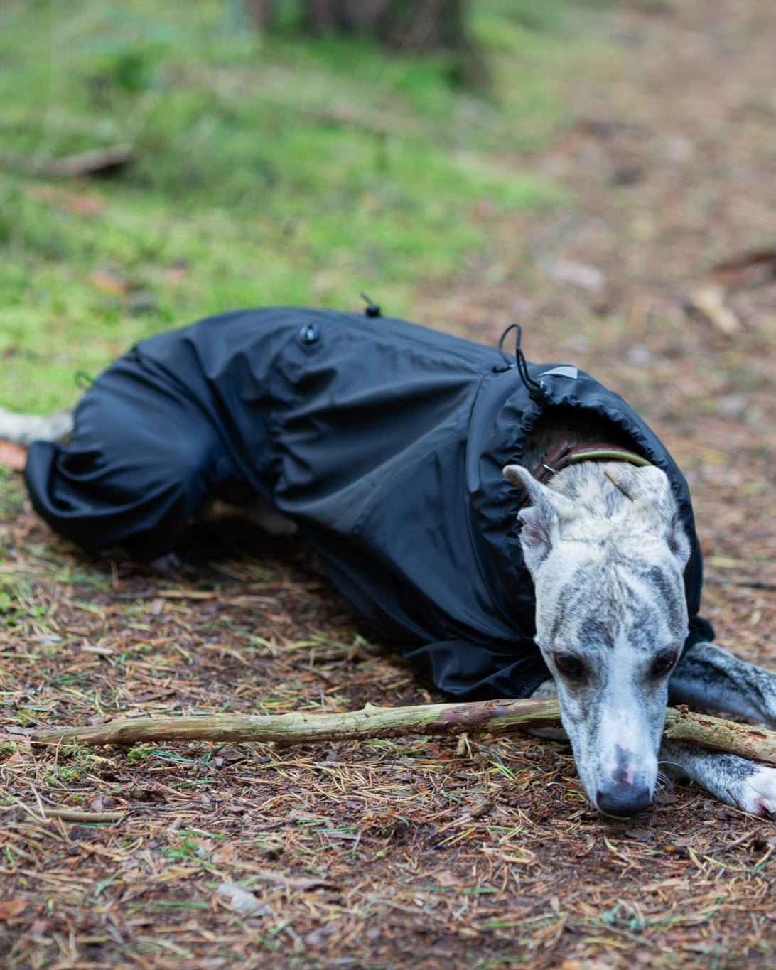 KENZOO waterproof fleece warm dog overalls