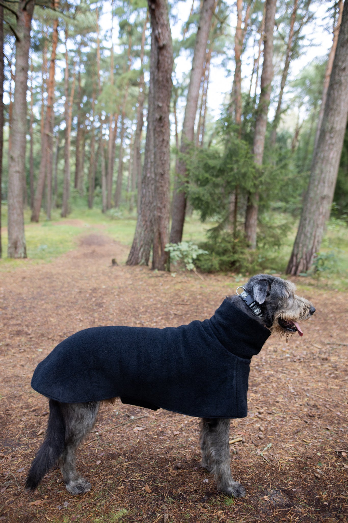 Luxurious KENZOO wool coat for a dog