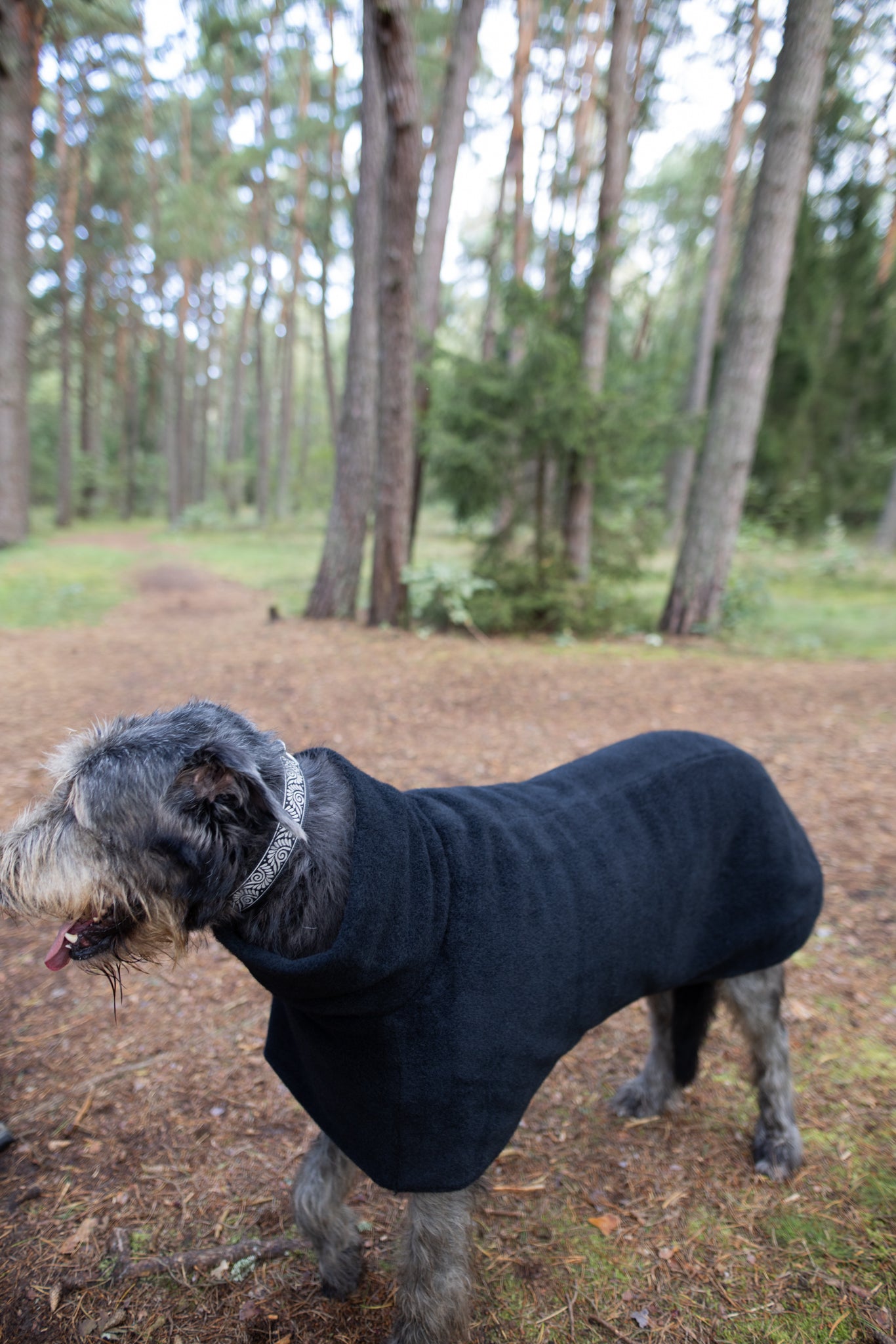 Luxurious KENZOO wool coat for a dog