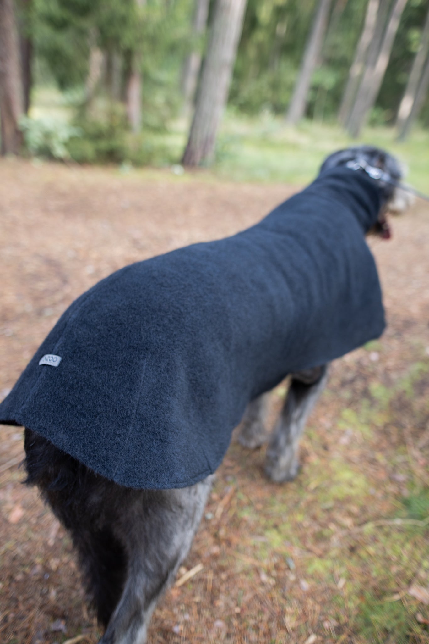 Luxurious KENZOO wool coat for a dog