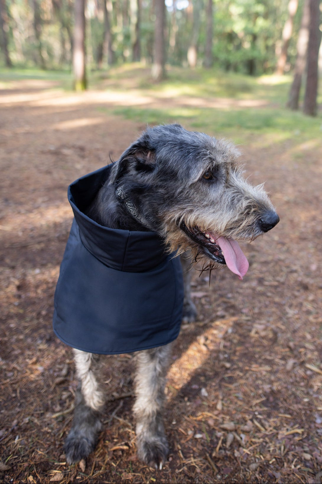 KENZOO black waterproof jacket for dog