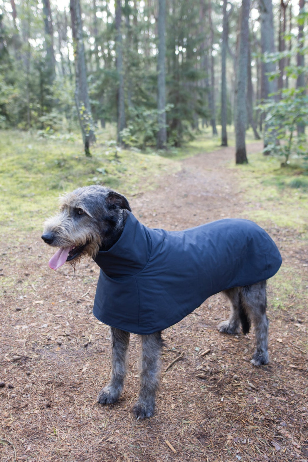 KENZOO black waterproof jacket for dog