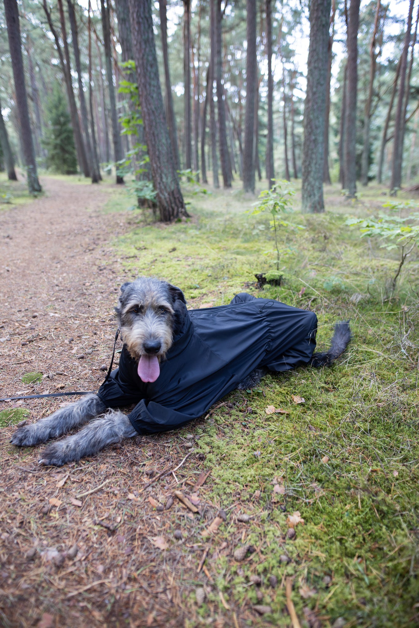 KENZOO waterproof fleece warm dog overalls