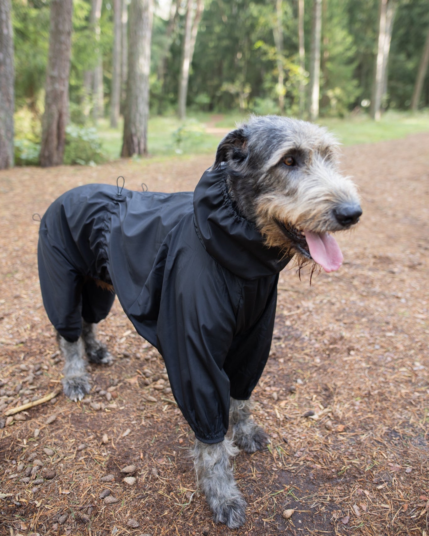 KENZOO waterproof fleece warm dog overalls