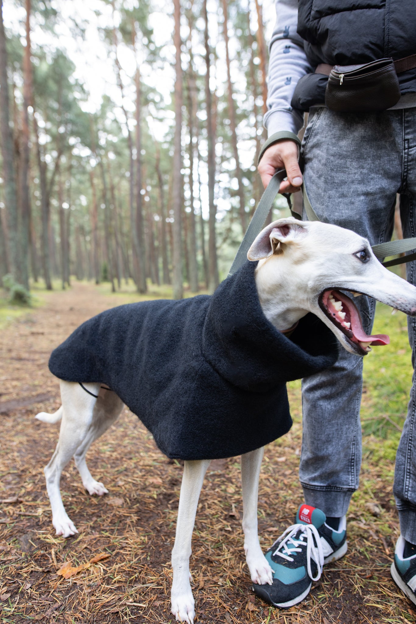 Luxurious KENZOO wool coat for a dog