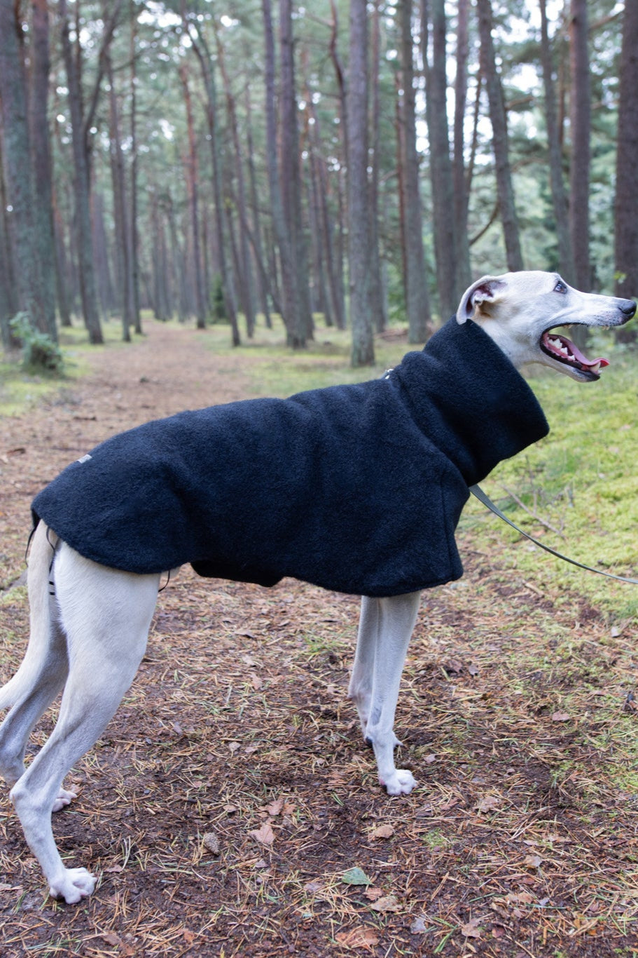 Luxurious KENZOO wool coat for a dog