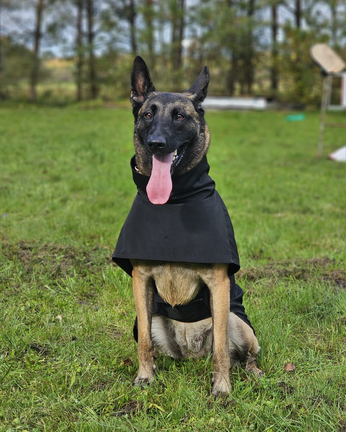 KENZOO black raincoat for dog