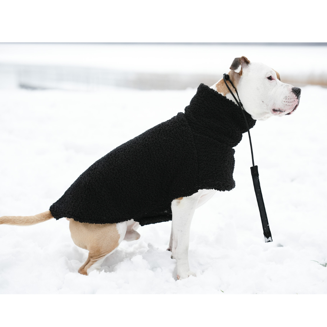 KENZOO astrakhan coat for dog. Black and brown