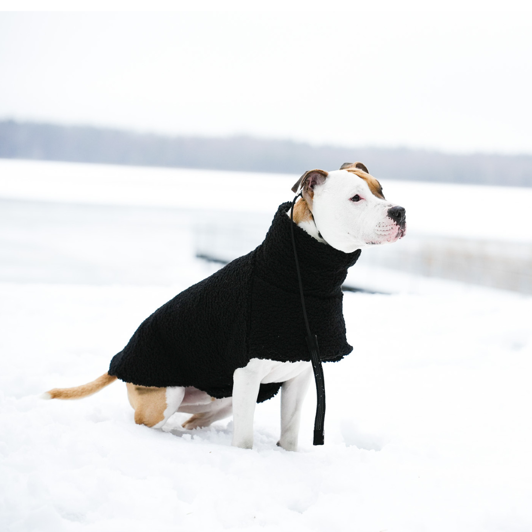 KENZOO astrakhan coat for dog. Black and brown