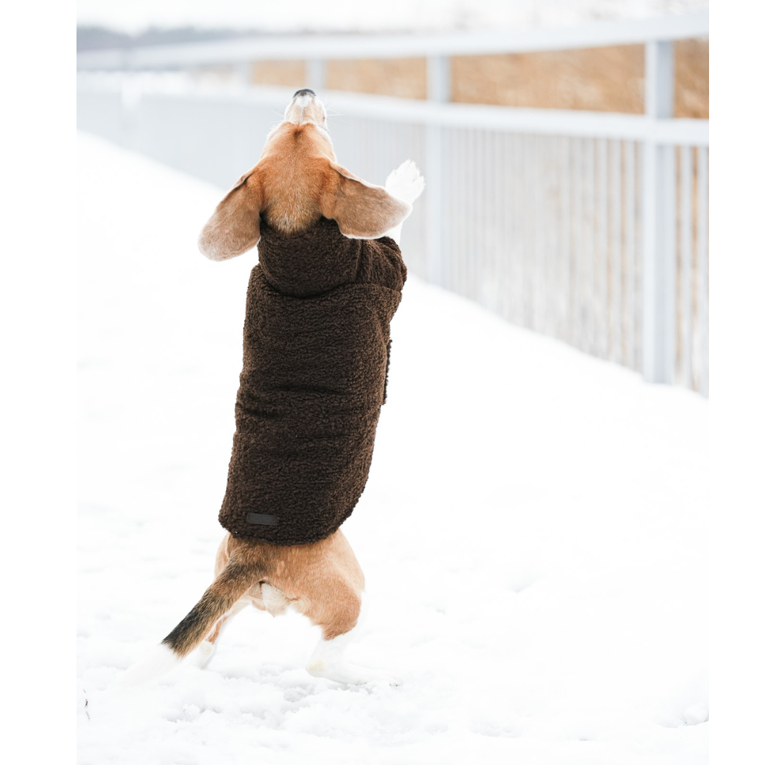 KENZOO astrakhan coat for dog. Black and brown