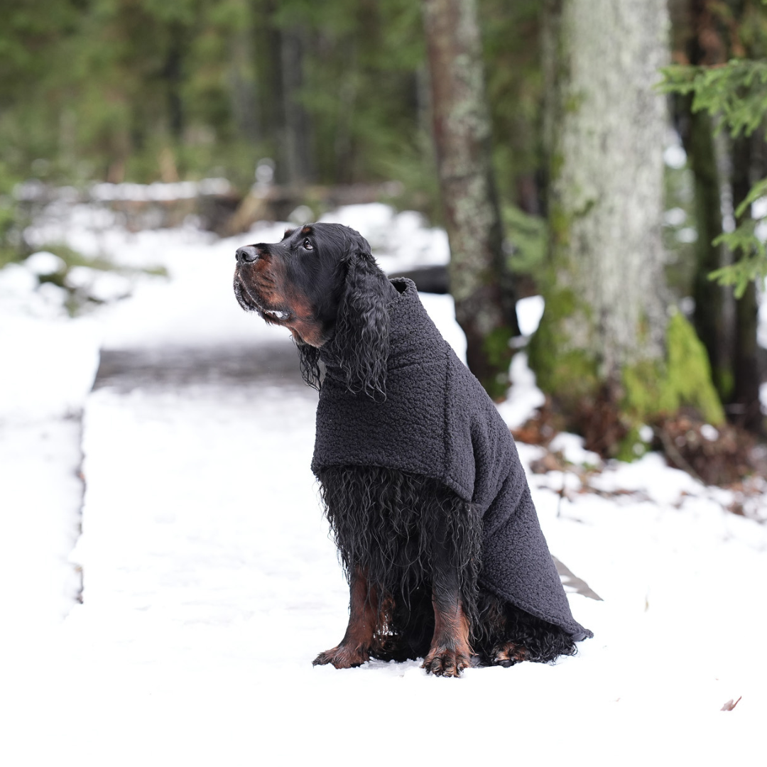 KENZOO astrakhan coat for dog. Black and brown