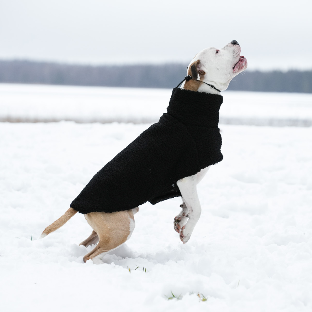KENZOO astrakhan coat for dog. Black and brown