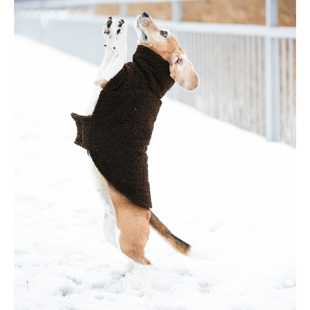 KENZOO astrakhan coat for dog. Black and brown
