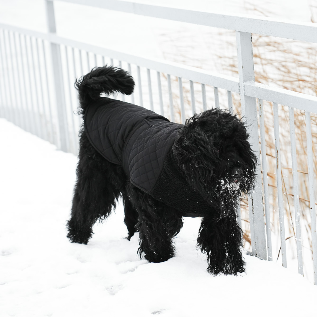 KENZOO black jacket with astrakhan fur