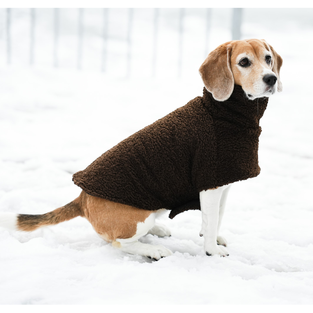 KENZOO astrakhan coat for dog. Black and brown