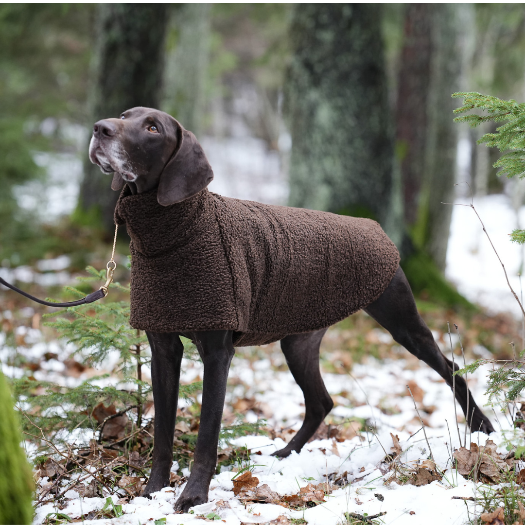 KENZOO astrakhan coat for dog. Black and brown