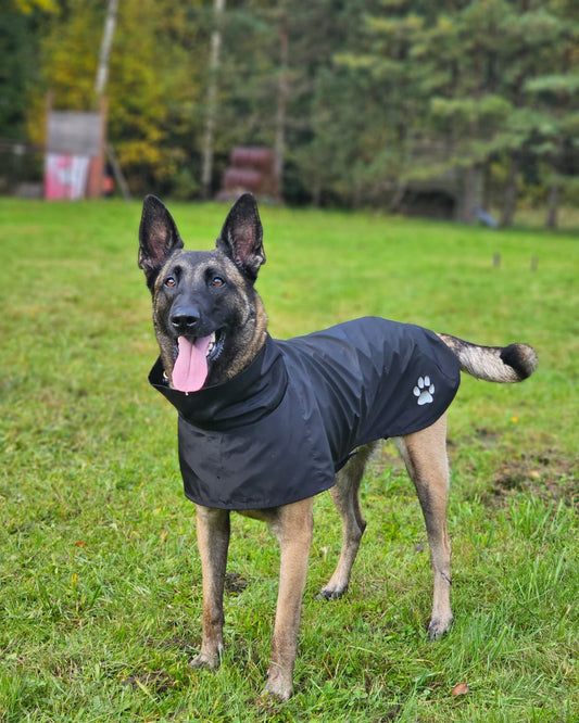KENZOO black raincoat for dog