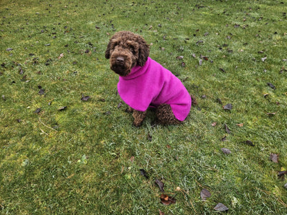 Ylellinen KENZOO-villatakki koiralle